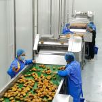 Automatic Industrial Stainless Steel Mango Juice Processing Line 1 - 10t/H