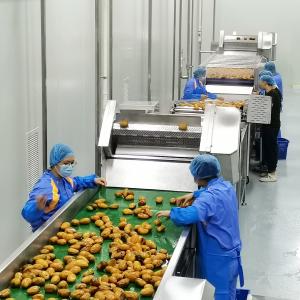 China Industrial Mango Juice Processing MachineFor Mango Beverage Production Line SUS304 factory