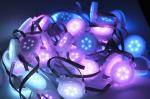 Waterproof Outdoor Garden Decoration Led Strip with SMD 5050 DC 24v Flexible