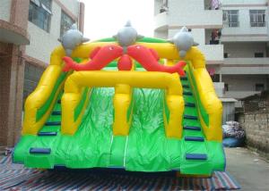 China Fish Double Climbing Ladders Commercial Inflatable Slide For Adult factory