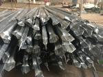 Customized Black Zinc Steel Metal Garrison Fence Panels Maintenance Free