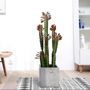 China Custom Cactus Ornaments Bonsai Artificial Succulent Plant factory
