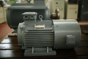 China AC Permanent Magnet Generator Alternator Low Noise / Maintenance For Wind Turbine factory