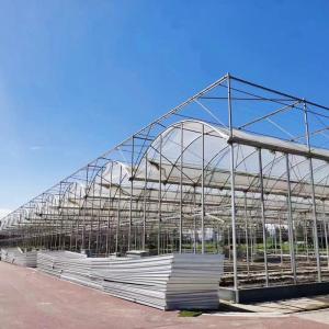 China Multi-span Agricultural Poly Tunnel Greenhouse With UV Resistant Plastic on sale