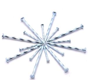 China Spiral Steel Galvanized Construction Concrete Nails Common Iron Nail factory