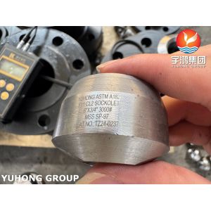 ASTM A182 F11 CL2 Forgings Alloy Steel Sockolet High Pressure Pipe Fittings