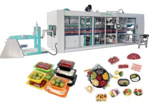 China Automatic Thermoforming Blister Machine Process Multi Station factory