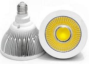 China 4000-5000k pure white color COB led PAR38 factory