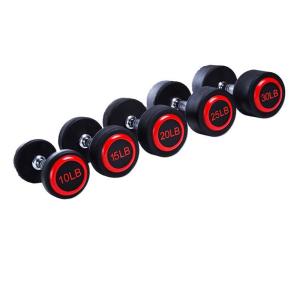 China Custom Logo Weightlifting Round Rubber Coatex Dumbbell factory