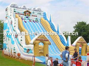 China Hot Summer Water Games, Giant Inflatable Slide In Winter Snow Style factory