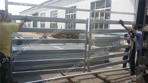 China Hot Dipped Galvanized Cattle Yard Panels 5 6 Bars Cattle Horse Corral Panels factory