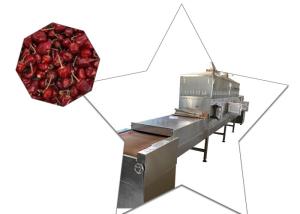 China Conveyor Belt Industry Tunnel Chili Drying Machine Frequency Less Down Time factory