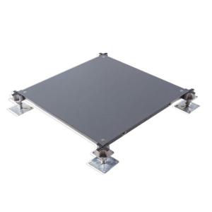 China Computer Room Uses OA Raised Access Floor factory