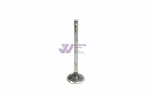 China ISUZU GENUINE 6BD1 FSR113 INTAKE VALVE 1-12551083-0 1125510830 JIUWU POWER factory
