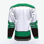 Free Design Custom Youth Ice Hockey Jerseys , 100% Polyester Ice Hockey Wear