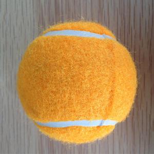 China pet outdoorpets training goodscarriers &amp; houses&quot; factory