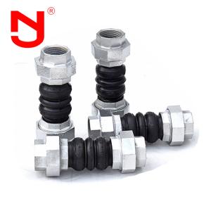 China Stainless Steel Screwed Union Bspt Threaded Expansion Joint Rubber Connector For Pipe on sale