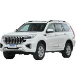 2023 Haval H9 AWD Four Wheel Drive Gasoline Cars for Family 170km/h Fast Off