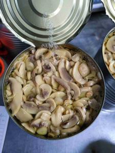 China Original Flavor Canned Champignon Mushroom Cool &amp; Dry Storage PH 4.5-6.5 factory