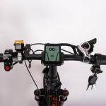 500W 20 Inch Fat Tire Ebike Foldable For Adults RICH BIT TOP-016