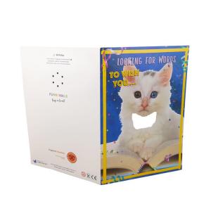 China A5 20 Seconds Greeting Cards With Sound Lightweight Talking Greeting Cards factory
