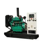 CE/ISO Certified 10kw 15kw 22kw Small Biogas Gas Electricity Generator
