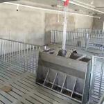 HI HOPE Piggery Farm Equipment Finisher Finishing Pen Crate