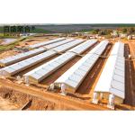 Prefabricated Livestock Shed Design Steel Structure Poultry House for Cow Pig