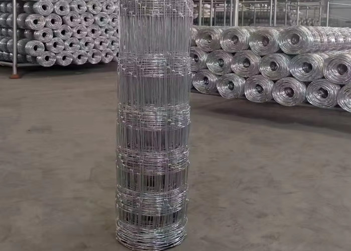 Farm Fence / Farm Fence Post 6inch Hole Spacing Zinc Coating Fence Panels for Security 50m Length