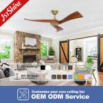 Modern Gold Metal Ceiling Fan with Smart Control and Timer Yes Wooden Blades