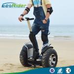 2 Wheel Self Balancing Scooter Off Road Segway Brushless Motor 4000w 110-240V