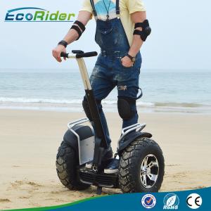 China 2 Wheel Self Balancing Scooter Off Road Segway Brushless Motor 4000w 110-240V factory