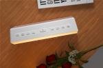 Wake Up Light(JW-2010D)