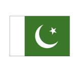 High Color Fastness 115g Polyester Pakistan Country Flag