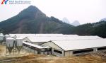 KXD Prefab Steel Frame Metal Building Q345 Q235 Steel Poultry Shed