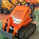EPA Euro5 Mini Crawler or Wheel Skid Steer Loader for Family