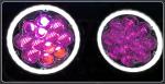 New Jeep wrangler accessories 5D RGB Halo 7 inch round led headlight 12v 24v