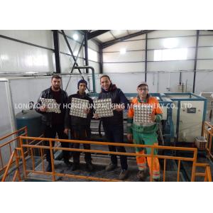 China Natural Gas Pulp Molding Machine , Rotary Egg Tray Making Machine on sale