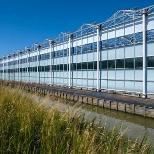 China Large - Scale Venlo Glass Greenhouse for Melon Farming on sale