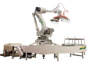 China 4 Axis 6 Axis Robot Production Line For Automobile Industry Customized Fixture Size factory