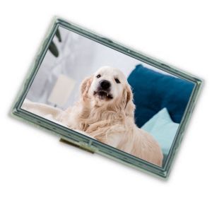 TCG070WVLPCANN-GN01 350cd/m2 A-Si 7 Inch TFT-LCD Display with LVDS Interface