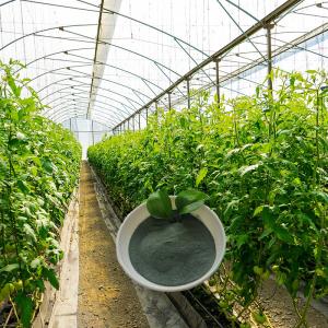 China Organic Foliar Fertilizer Amino Acid Chelated Micronutrients Copper factory