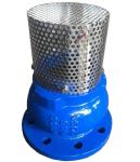 GGG50 H42X cast iron flanged foot valve manufacturer in China