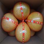 2020 Crop Fresh Honey Pomelo Fast Fresh Food For Lungs / Throat / Blood