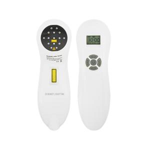 China Clinic Physical Therapy Handheld Laser Device 808nm 650nm Cold Laser Therapy Machine factory
