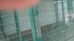 358 high-security fencing