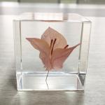 Acrylic paper weight gift stone paper weight custom resin paper weight