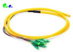 Fiber Optic Pre - terminated Pigtail LC APC 12 Cores Single Mode Bunch fanout 0