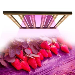 China Detachable Knob Dimming 480w Horticulture LED Grow Lights factory