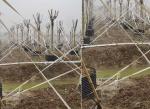 Stable High Tenacity Agriculture Polyester Wire Anti Corrosive